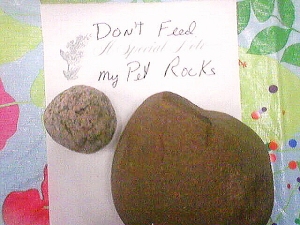 pet rock 2